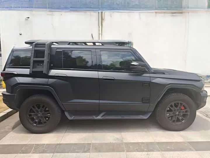 Mengshi 917