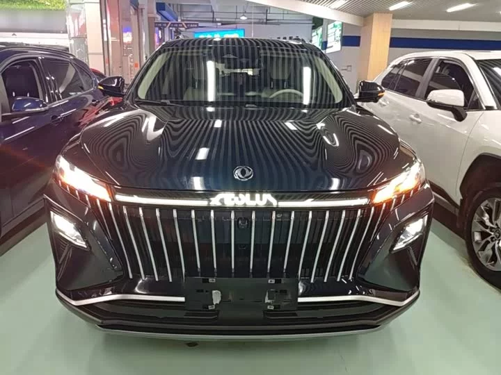 Dongfeng Haoji