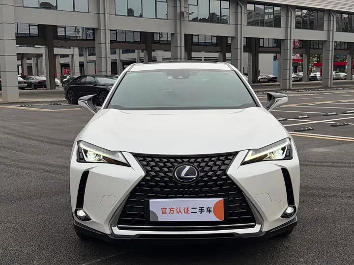 Lexus UX New Energy