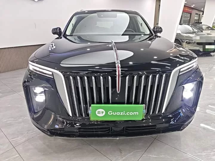 Hongqi E-HS9