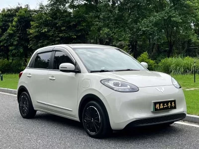Wuling Bingo