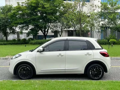 Wuling Bingo