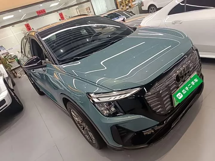Audi Q5 e-tron