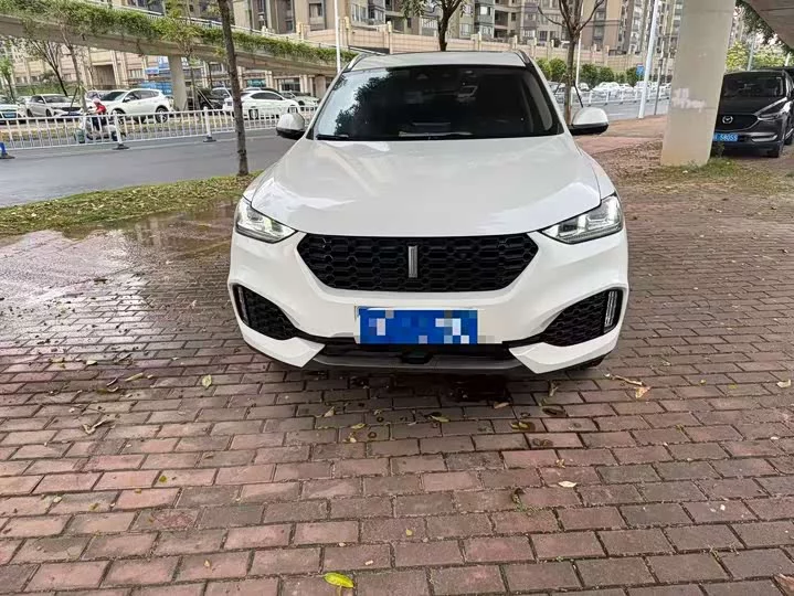 Wey VV6