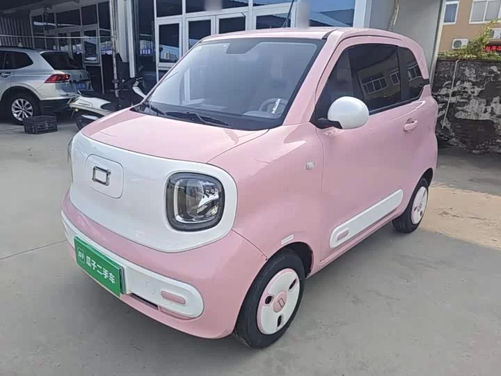 FAW pony