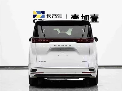 Denza D9