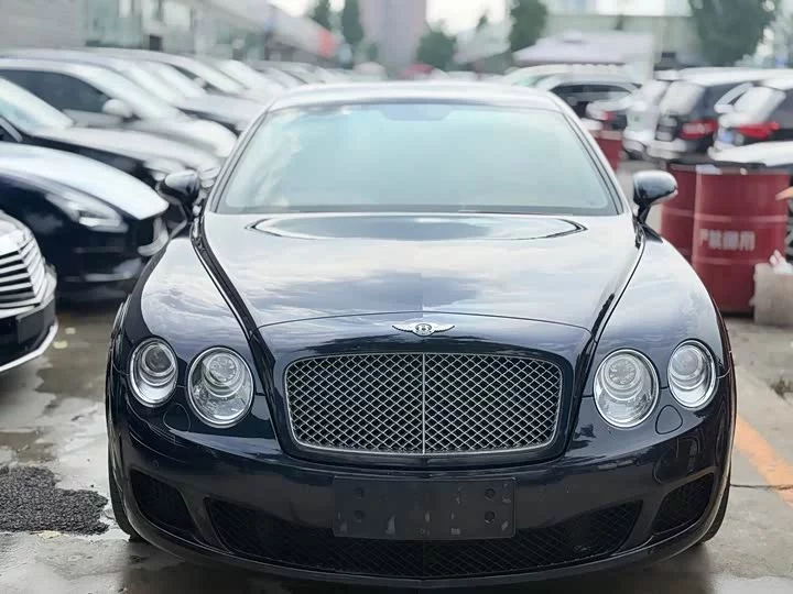 Bentley galloping