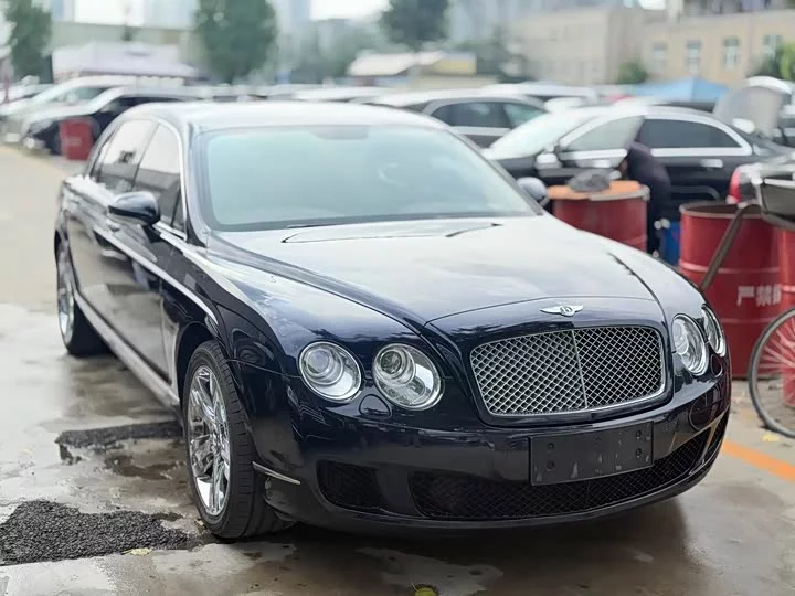 Bentley galloping