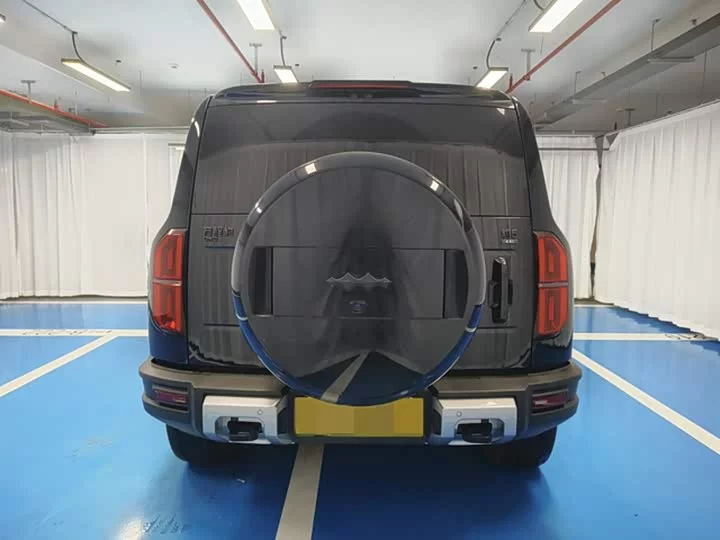 BYD Leopard Leopard 5