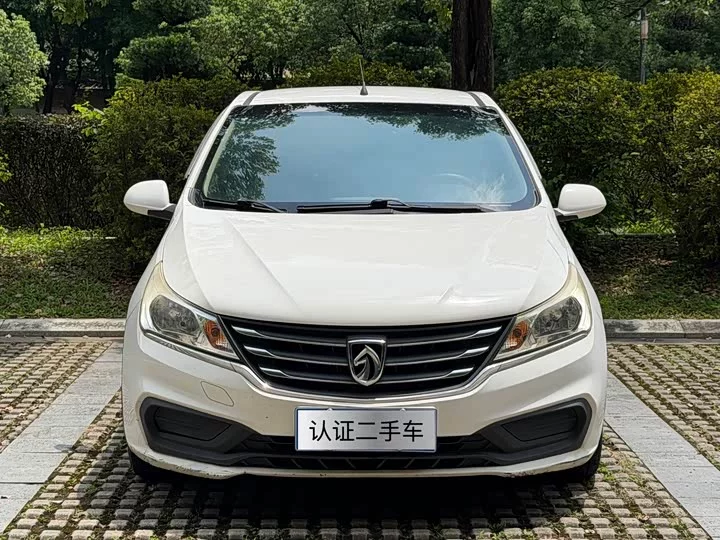 Baojun 310