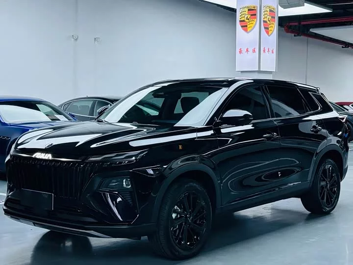 Dongfeng Haoji