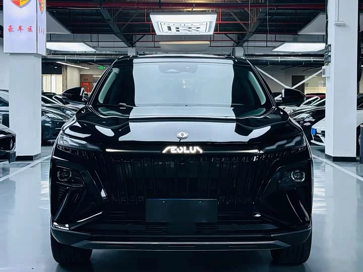 Dongfeng Haoji