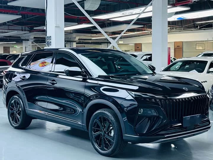 Dongfeng Haoji