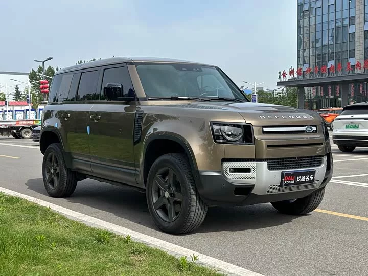 Land Rover guard