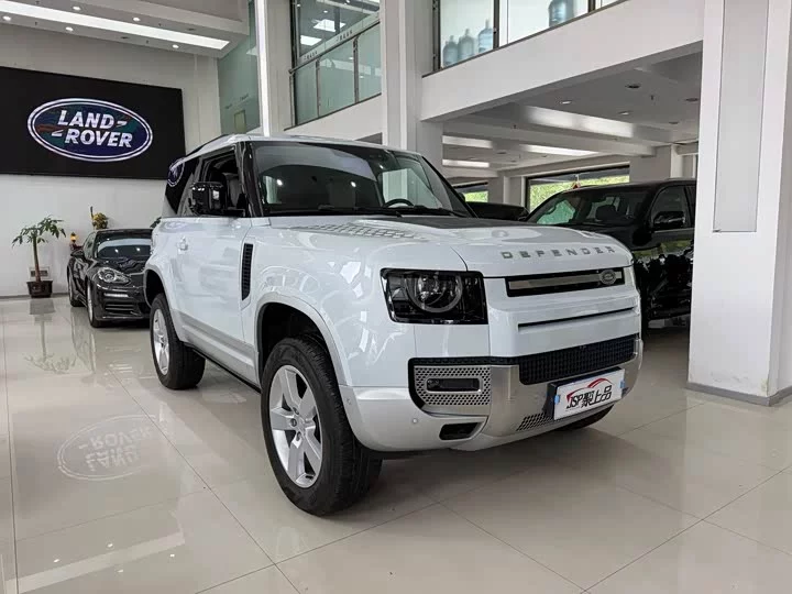 Land Rover guard