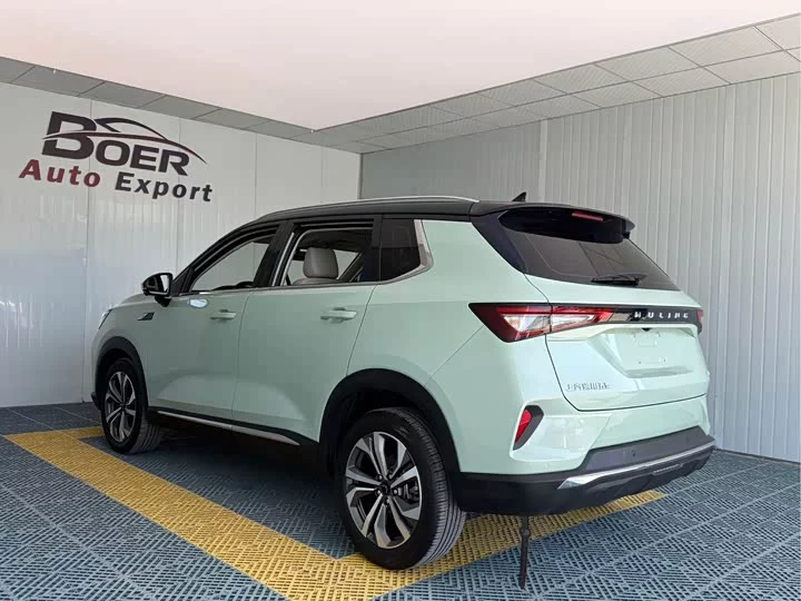 Wuling Star