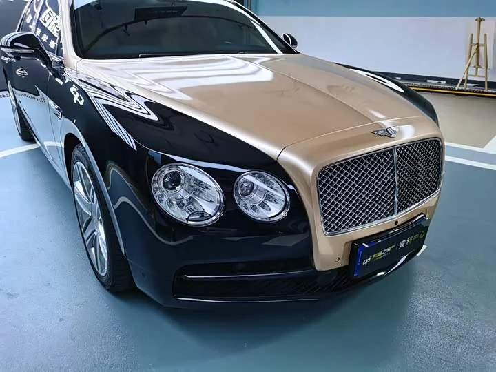 Bentley galloping