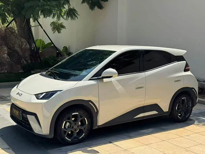 BYD seagull