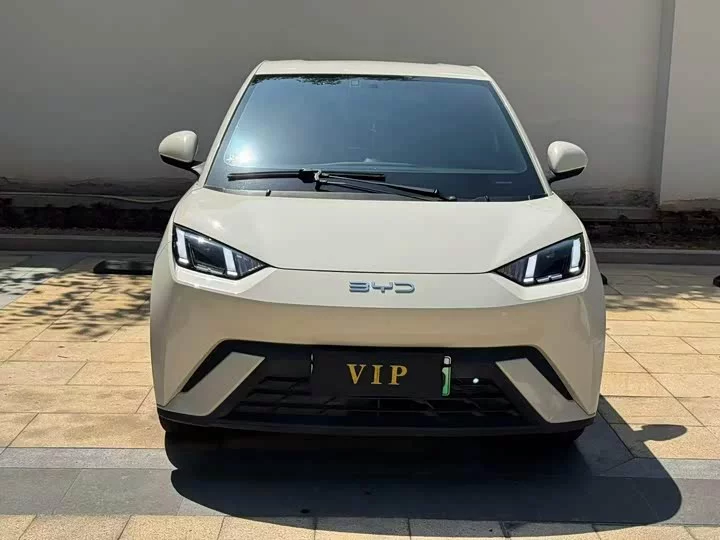 BYD seagull