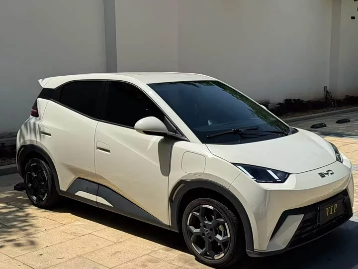 BYD seagull