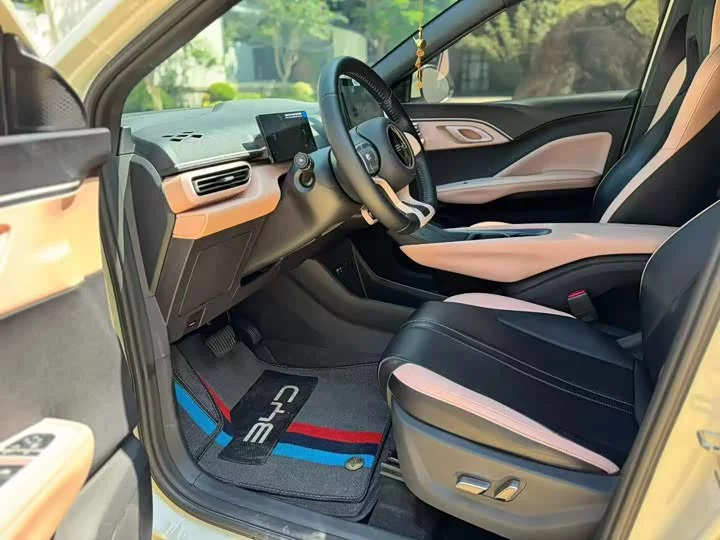 BYD seagull