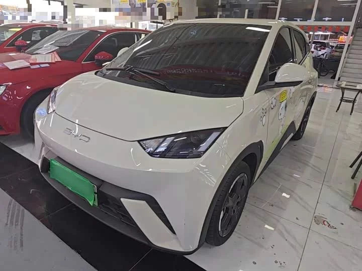 BYD seagull