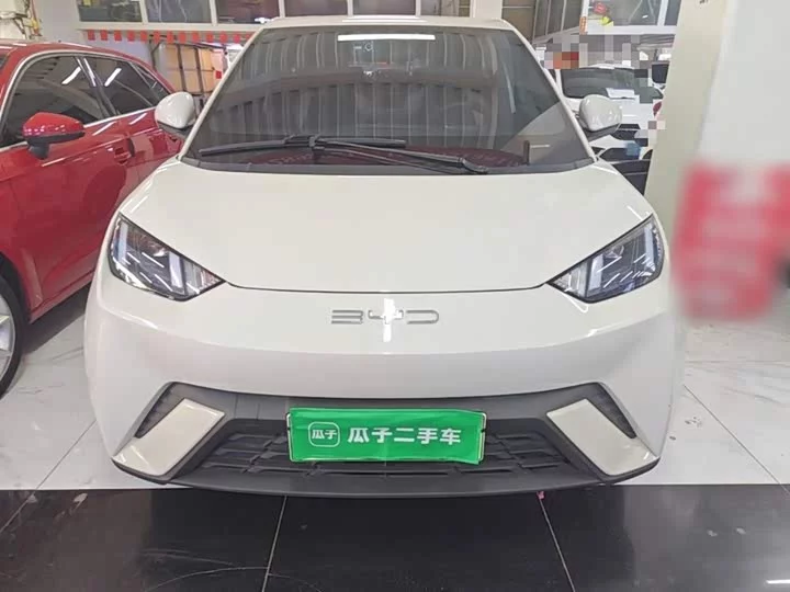 BYD seagull