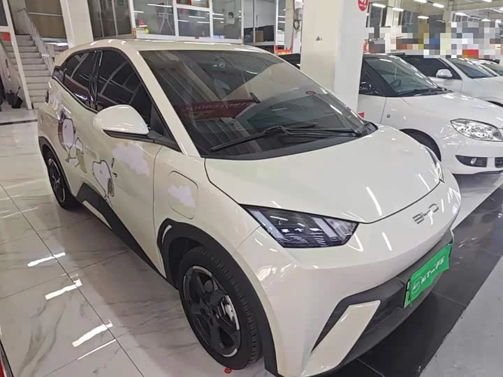 BYD seagull