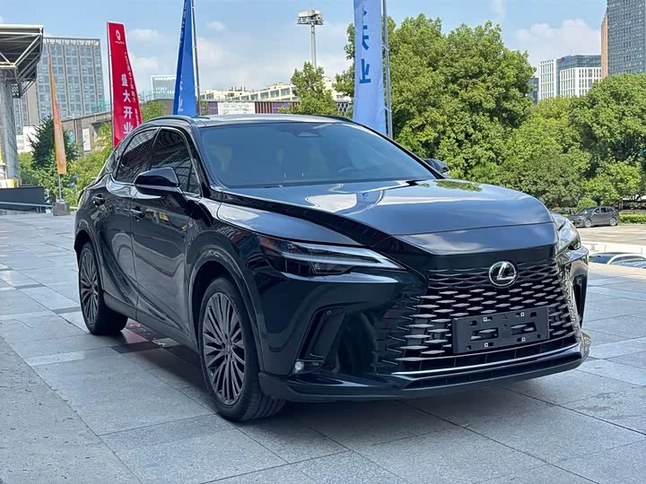 Lexus RX New Energy