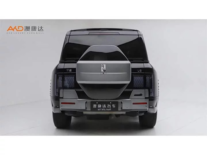 BYD U8