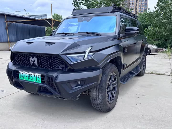 Mengshi 917