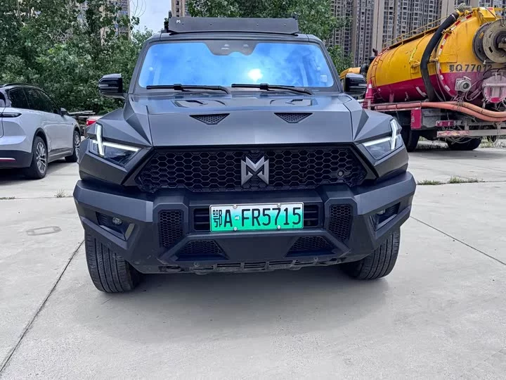 Mengshi 917