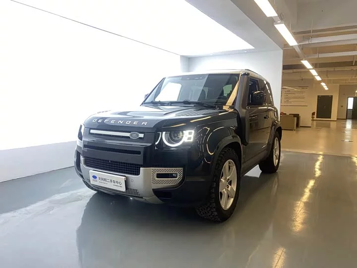 Land Rover guard