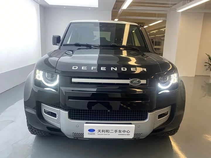 Land Rover guard