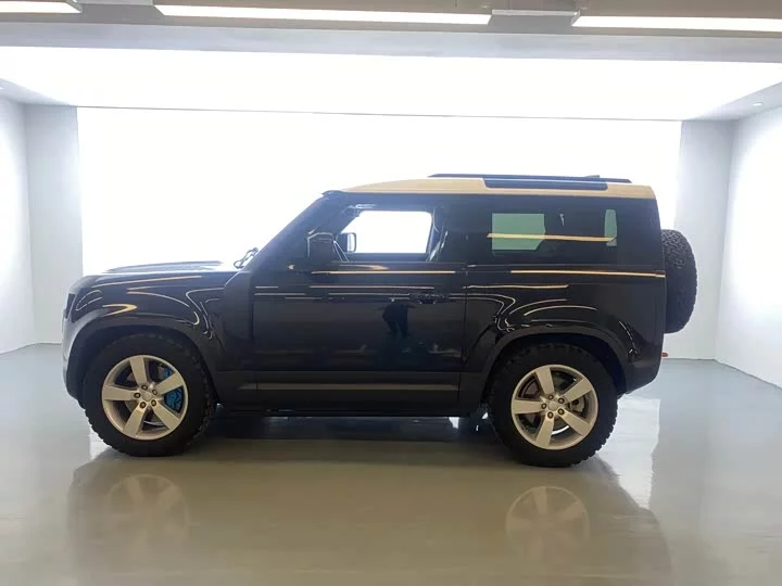 Land Rover guard