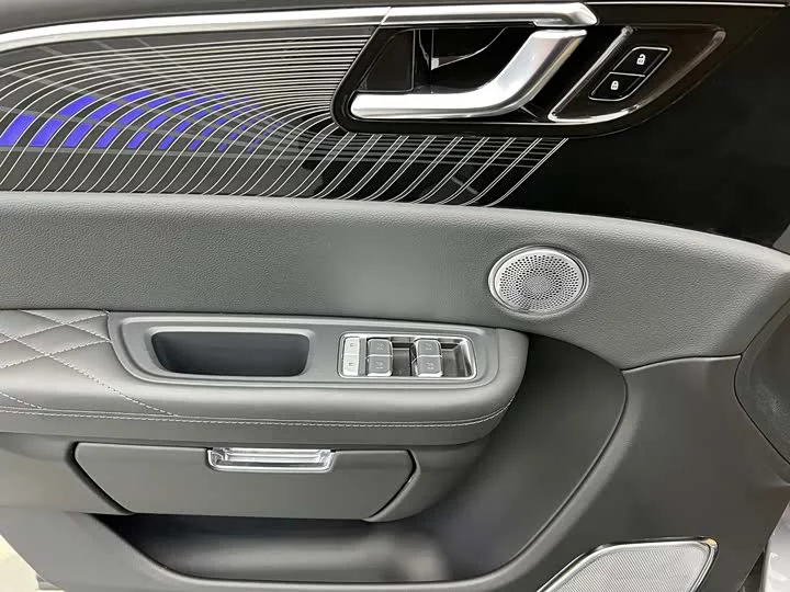 Hongqi E-HS9