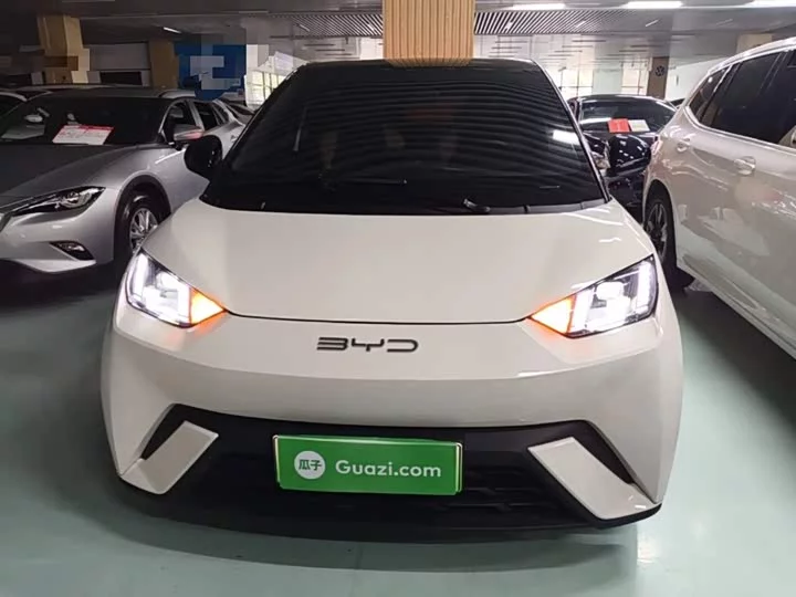 BYD seagull