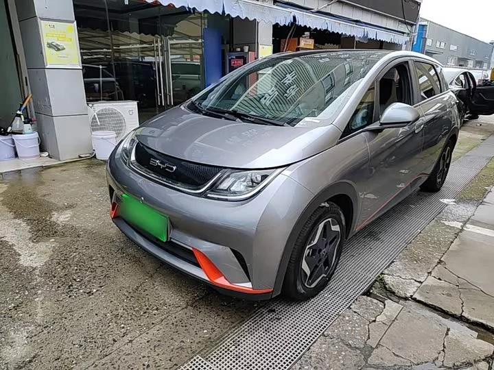 BYD dolphin