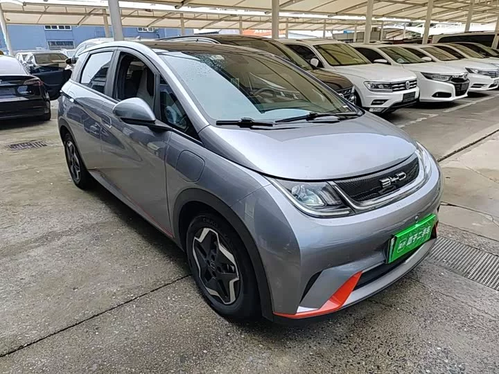 BYD dolphin