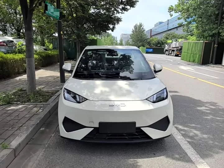 BYD seagull