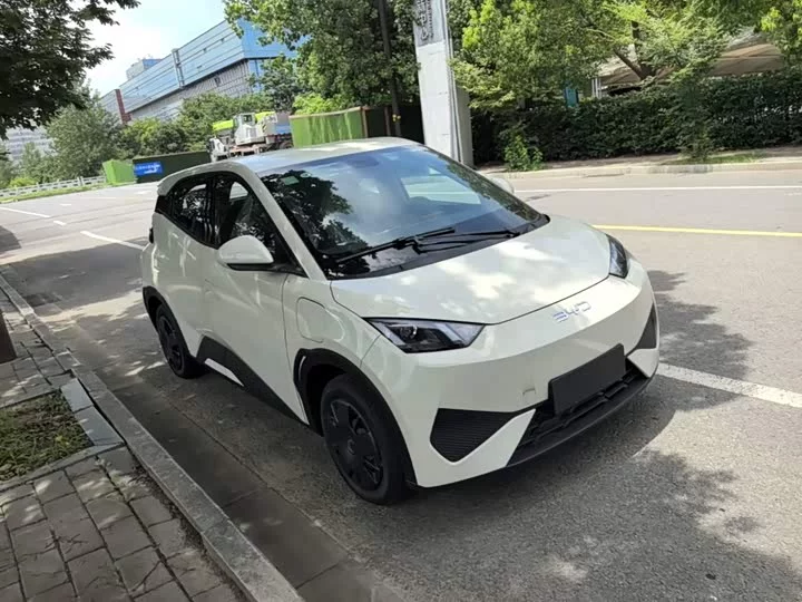 BYD seagull