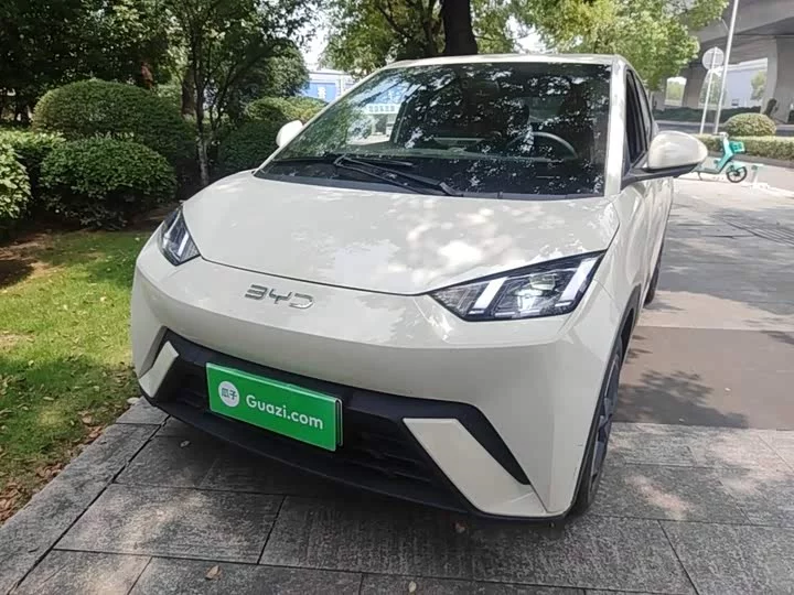 BYD seagull