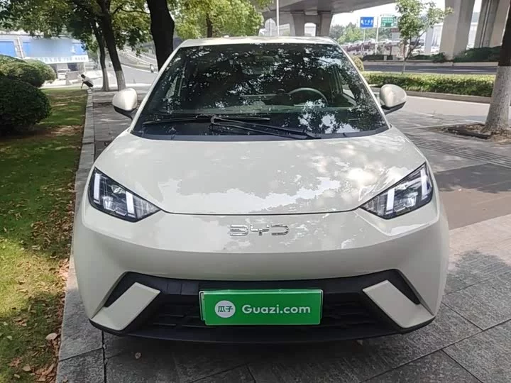 BYD seagull