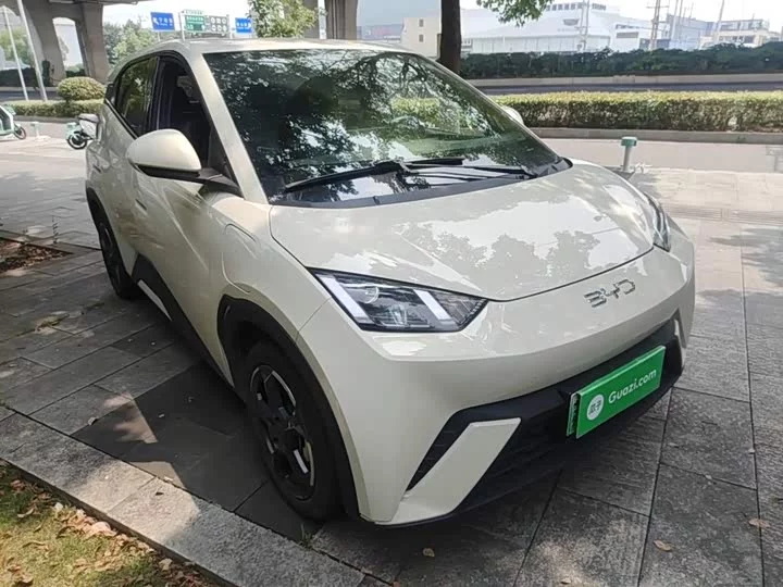 BYD seagull