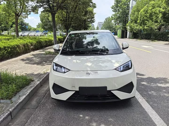 BYD seagull