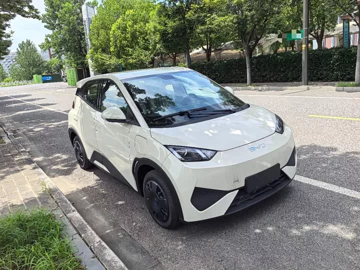 BYD seagull