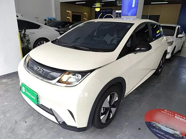 BYD dolphin