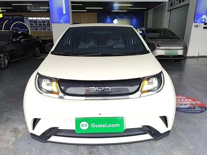 BYD dolphin