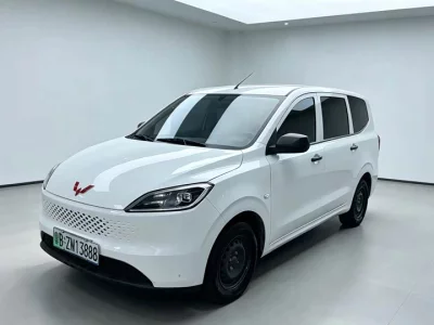 Wuling Hongguang New Energy