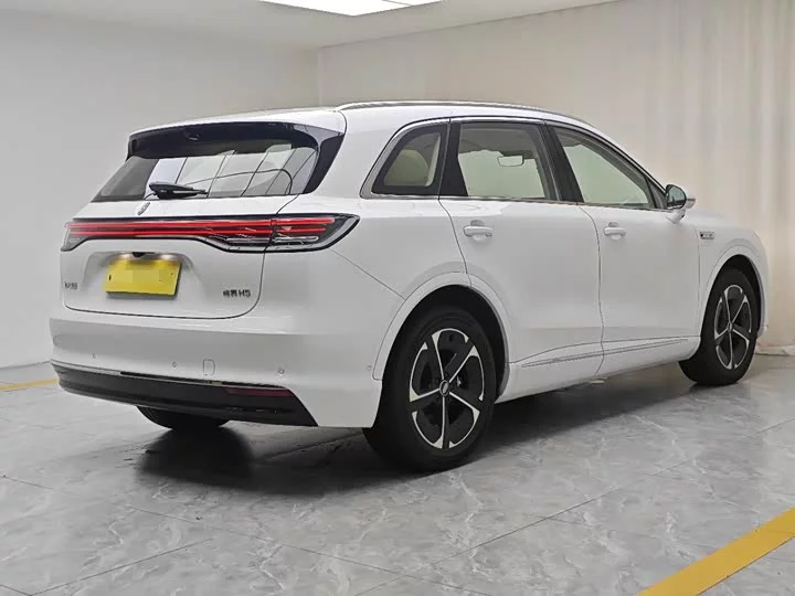 Shangjie H5